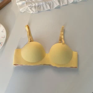 Comfortable Padded Bra – Soft Support with Adjustable Hooks